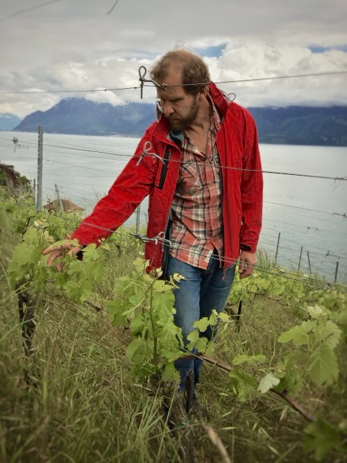 Pierre Fonjallaz