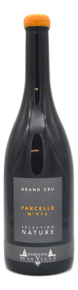 Parcelle N° 976 2019