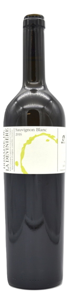 Sauvignon blanc 2020