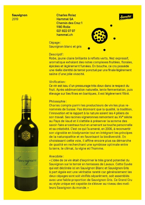 Sauvignon 2019 - Villette - Charles Rolaz - Sauvignon Blanc et Gris - Vin bio, biodynamique et naturel 2